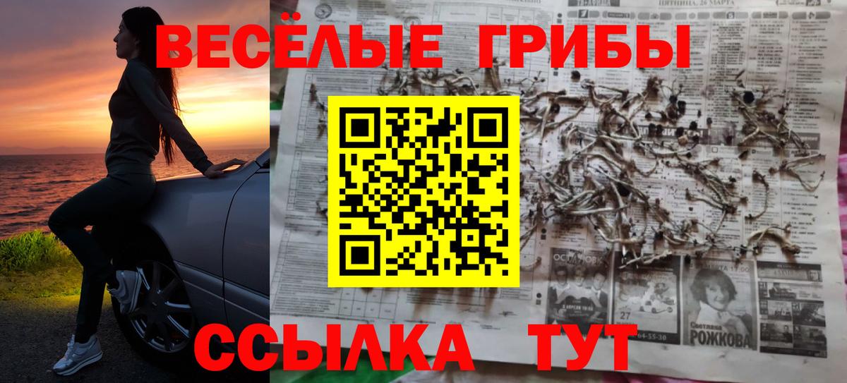Чапаевск  Псилоцибиновые грибы Psilocybine cubensis  Вход с VPN  Псилоцибиновые грибы Psilocybe 